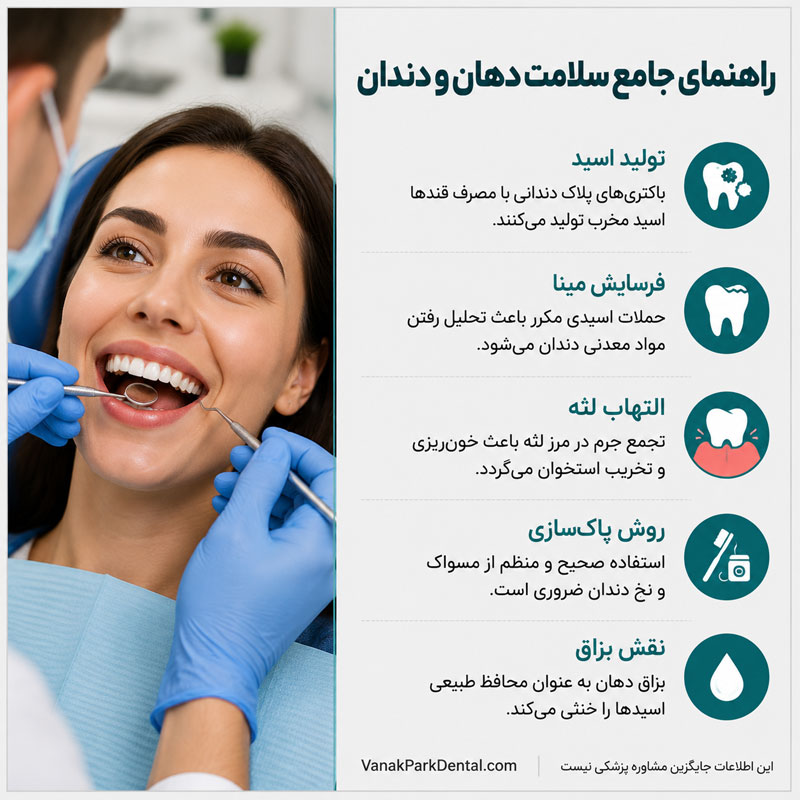 تصویر اینفوگرافیک بهداشت دهان و دندان